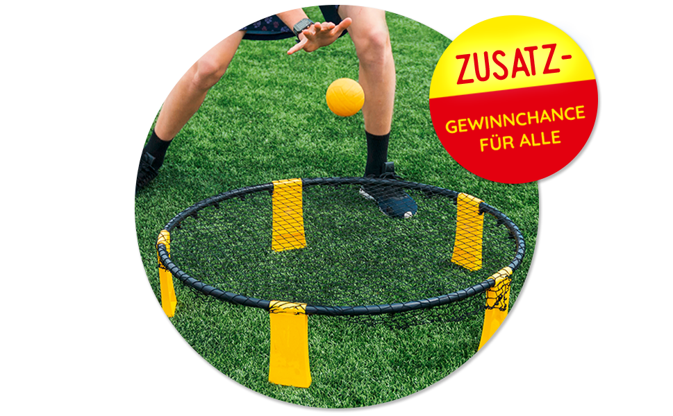 Spikeball-Set